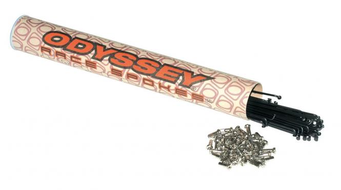 Odyssey Spokes (40pc) butted 